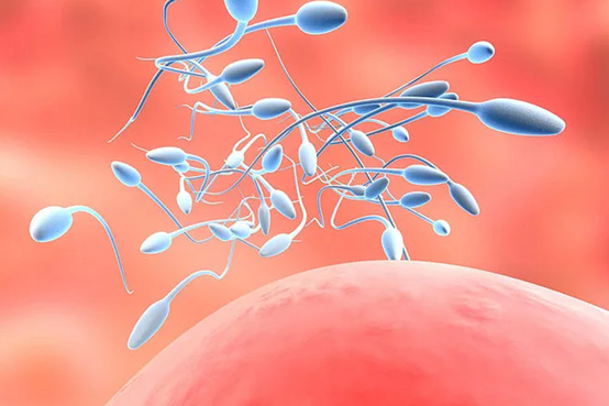 四个月代生宝宝晚上不睡觉，四个月代生宝宝晚上不睡觉的原因